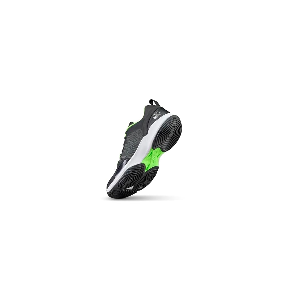 Black/White/Green Gecko