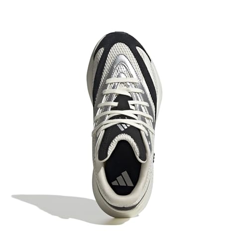 Alumina/Silver Metallic/Black