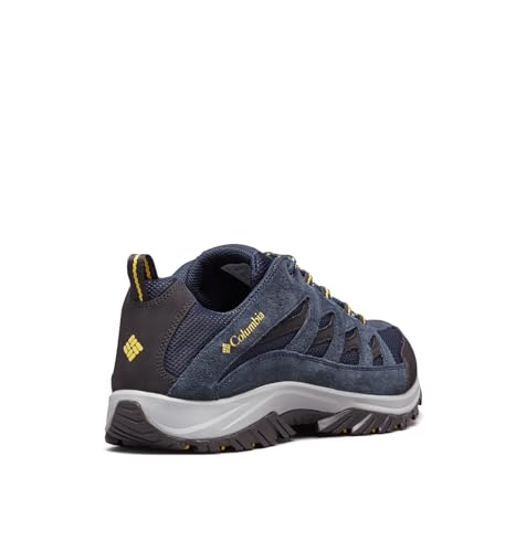 Collegiate Navy/Antique Moss