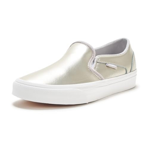 Metallic Light Grey