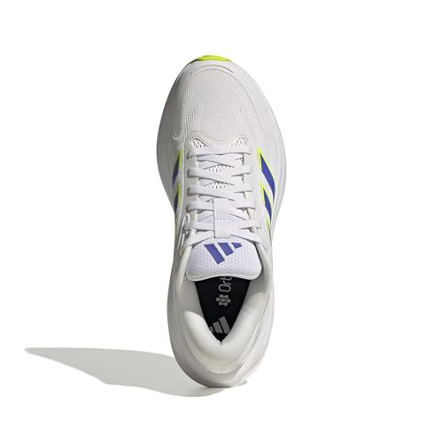 White/Cobalt Blue/Lucid Lemon