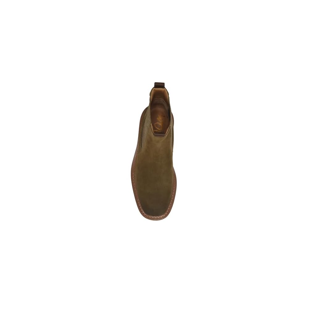 Olive Branch