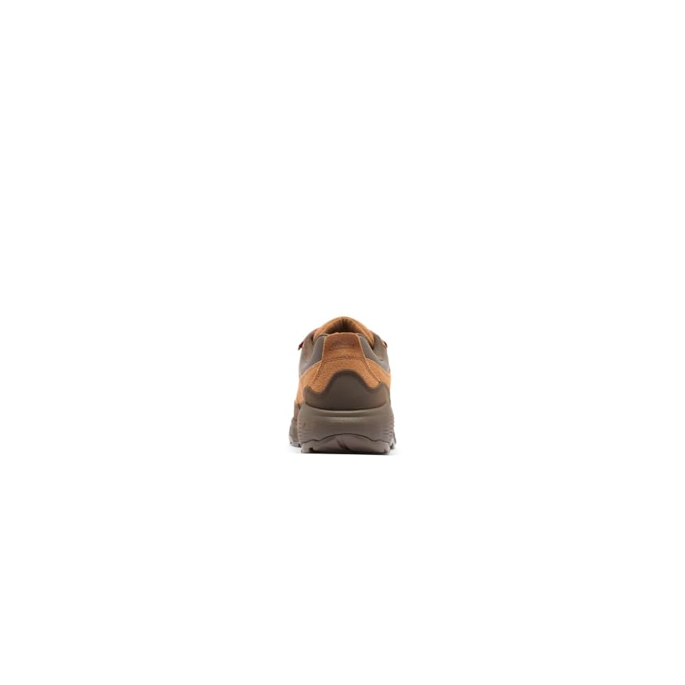 Grizzly Bear/Red Oxide