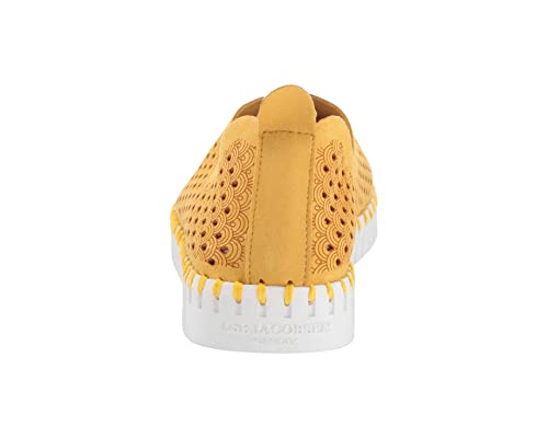 Golden Rod/White