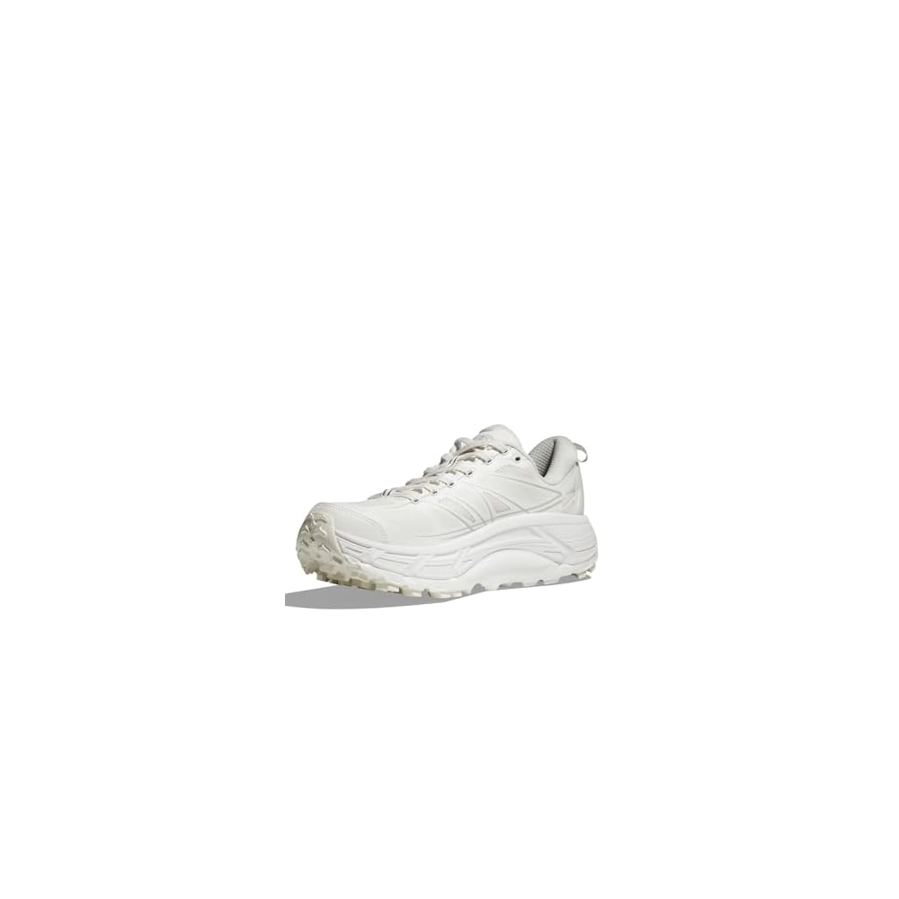 Lunar Rock