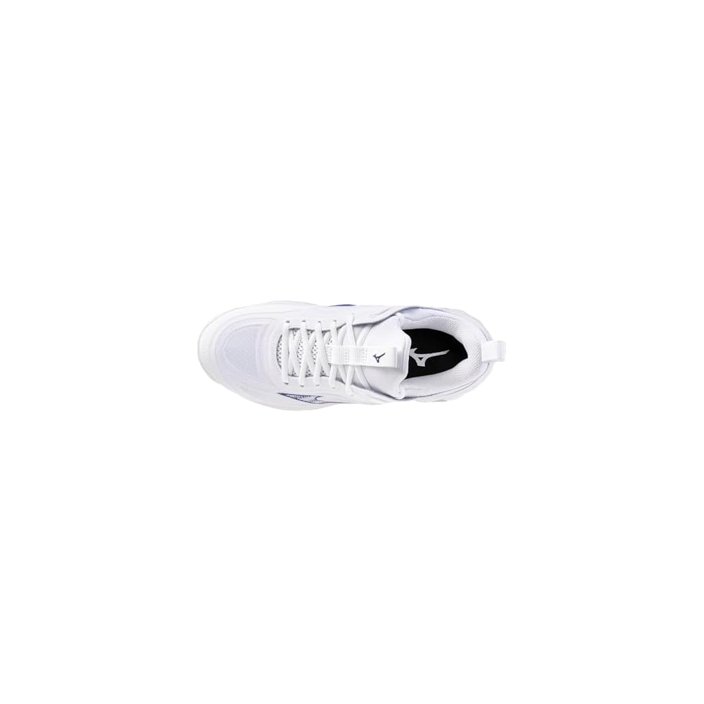 White/Bellwether Blue
