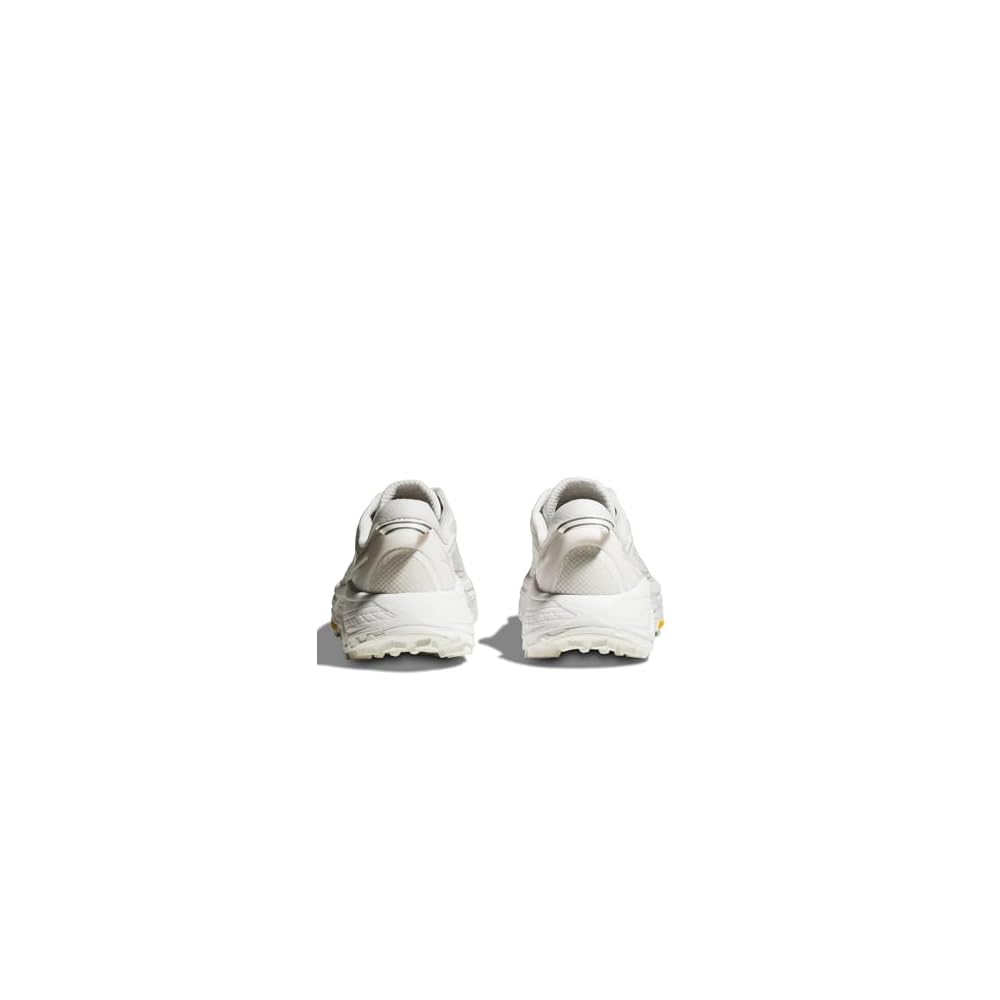 Lunar Rock