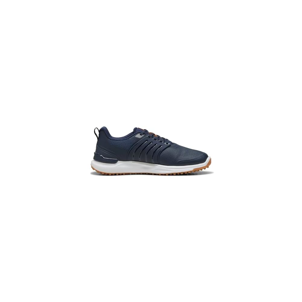 Deep Navy-puma Silver-gum