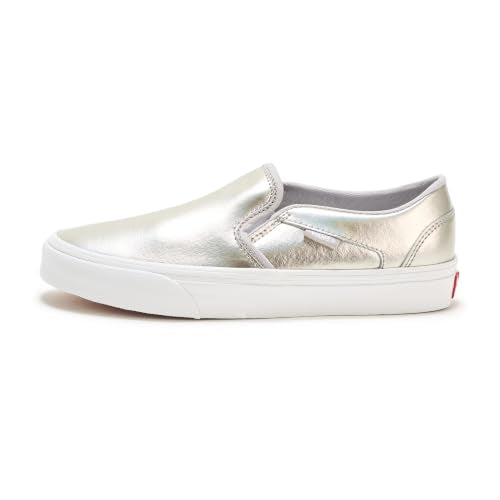 Metallic Light Grey