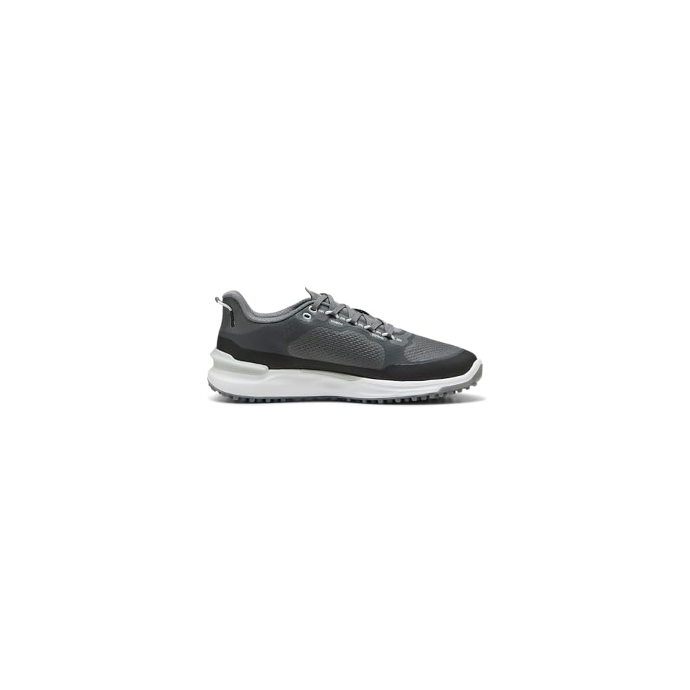 Slate Sky-puma Black-ash Gray