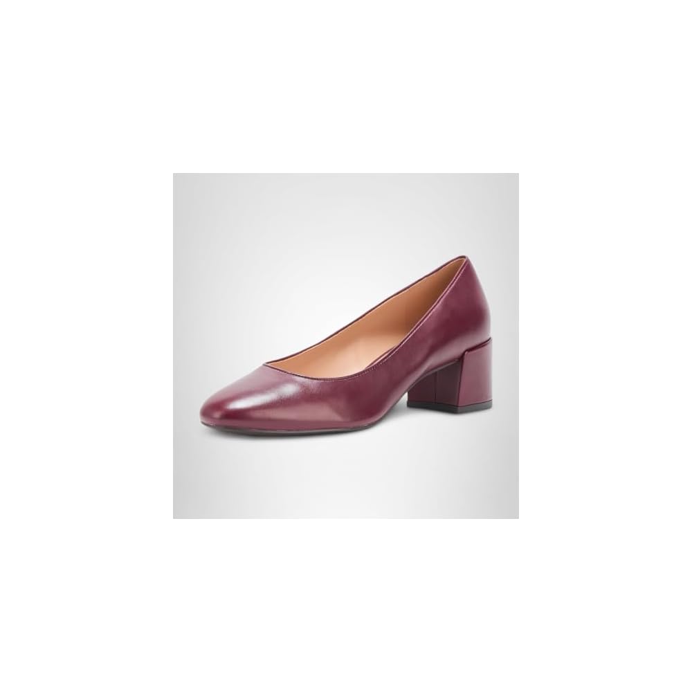 Ch Black Garnet Ltr