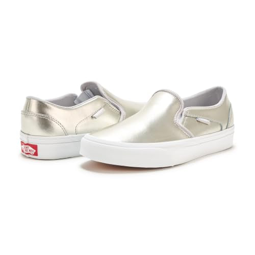 Metallic Light Grey