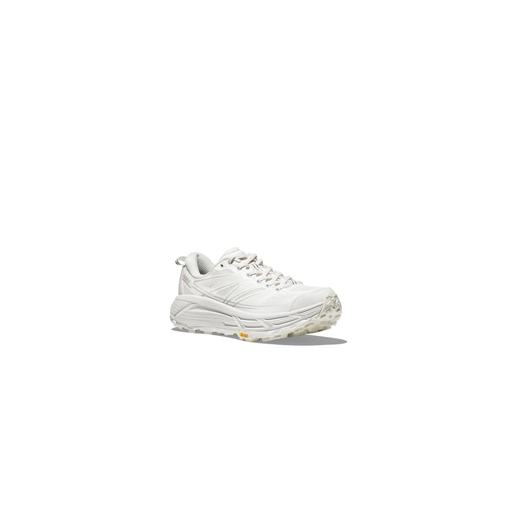 Lunar Rock