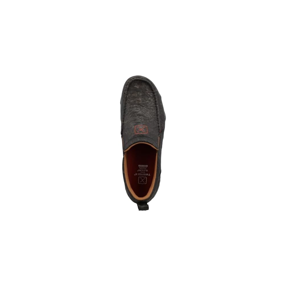Iron Grey Ostrich