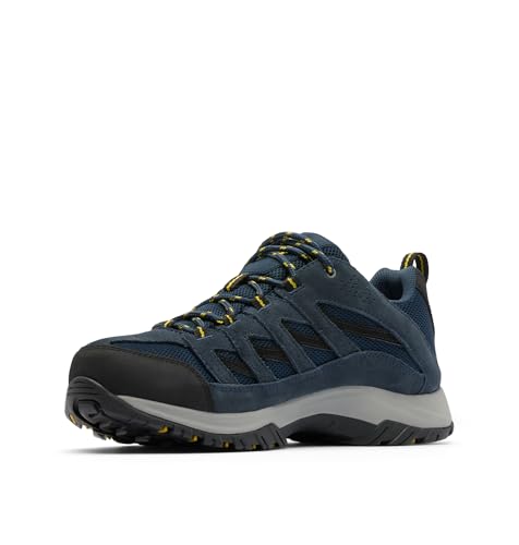 Collegiate Navy/Antique Moss
