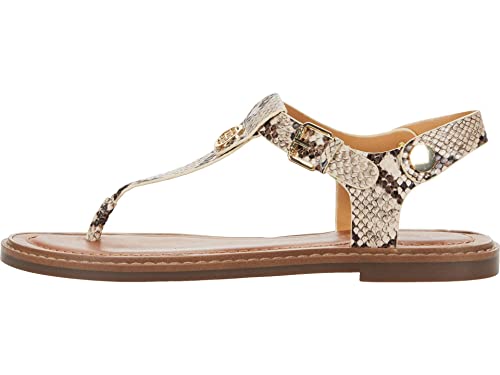 Beige Multi