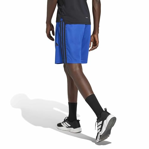 Team Royal Blue/Black