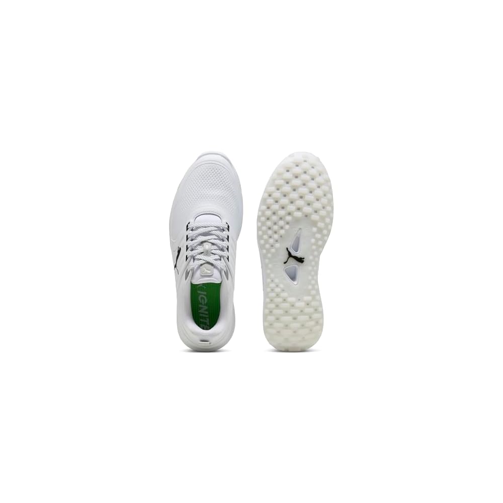 Puma White-puma Black-puma Silver
