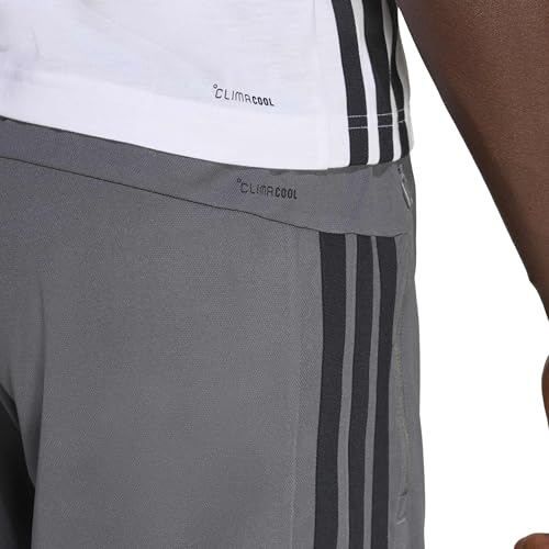 Grey/Black