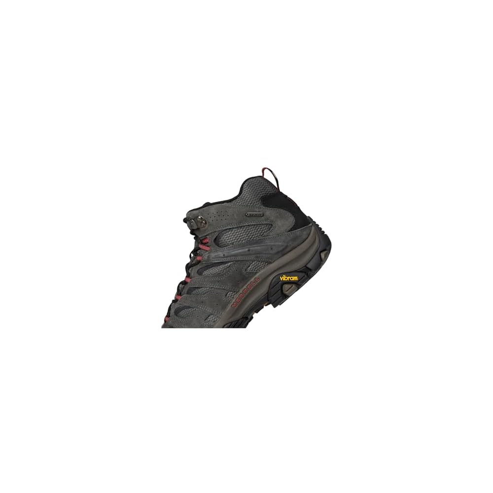 New Beluga