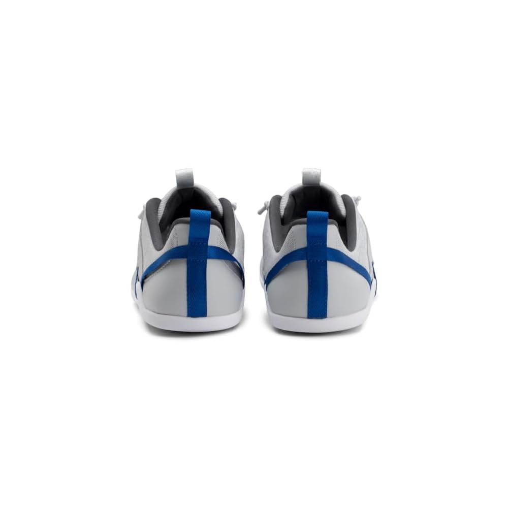 Lunar Rock/Blue Iolite