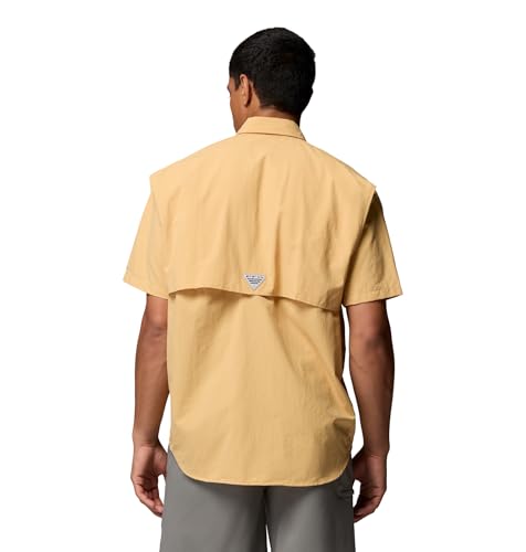 Light Camel