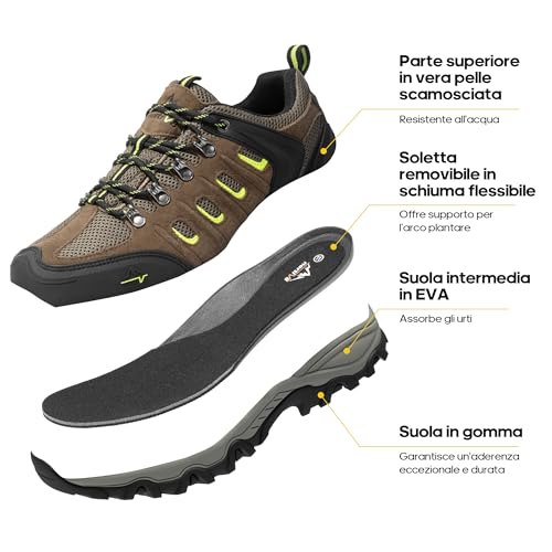 Black/Brown/Yellow