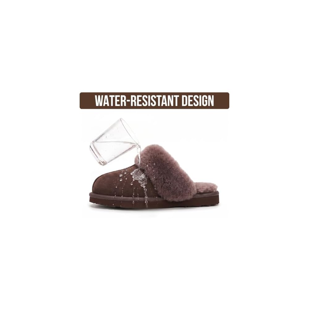 Chocolate Brown
