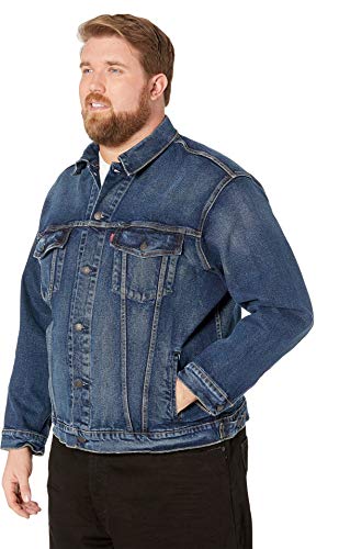 Colusa 2.0 Big Trucker (Medium Stretch)
