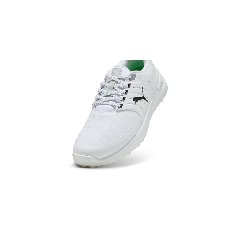 Puma White-puma Black-puma Silver
