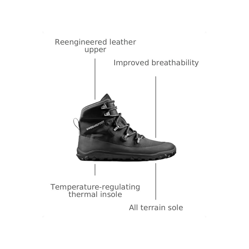 Obsidian