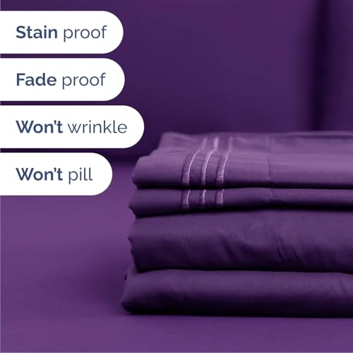36 - Purple