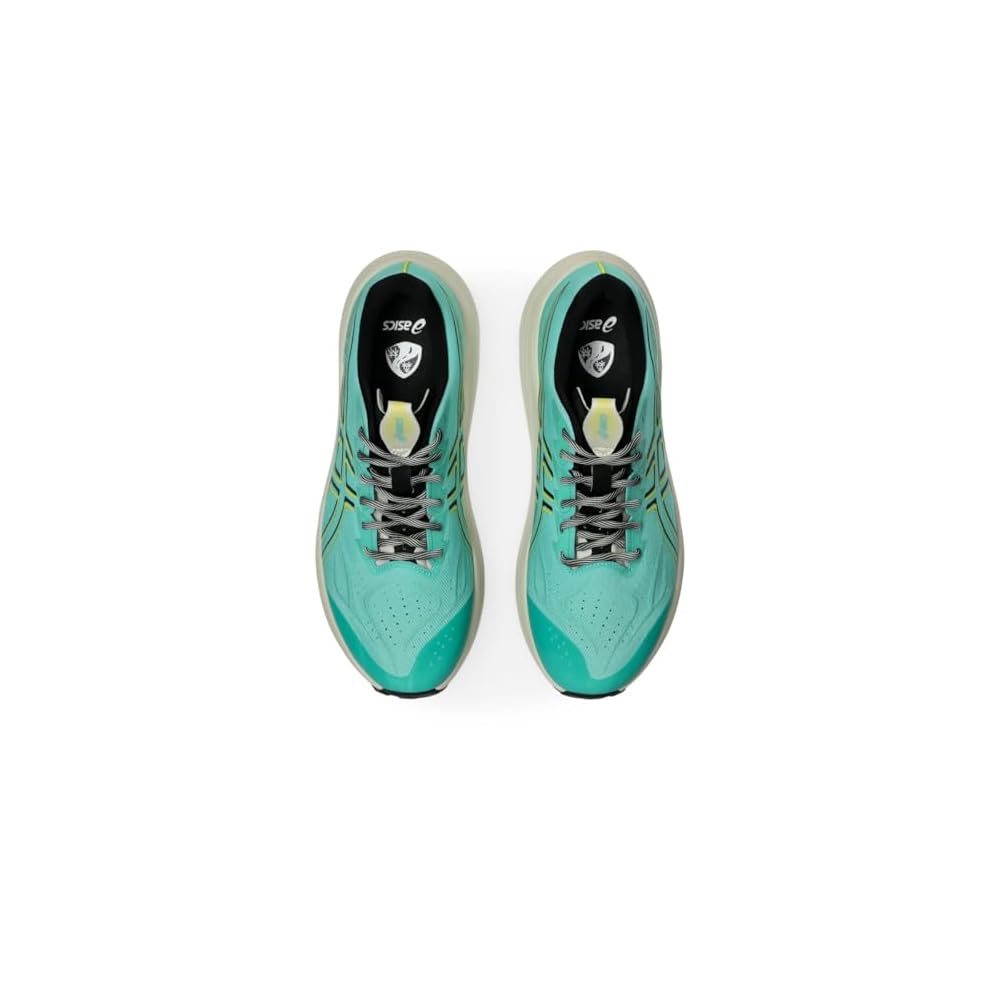 Aurora Green/Cacti
