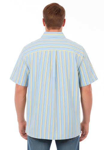 Blue Yellow Stripe