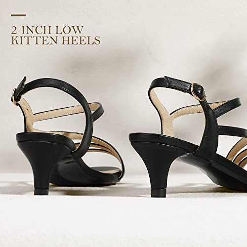 Black Pu