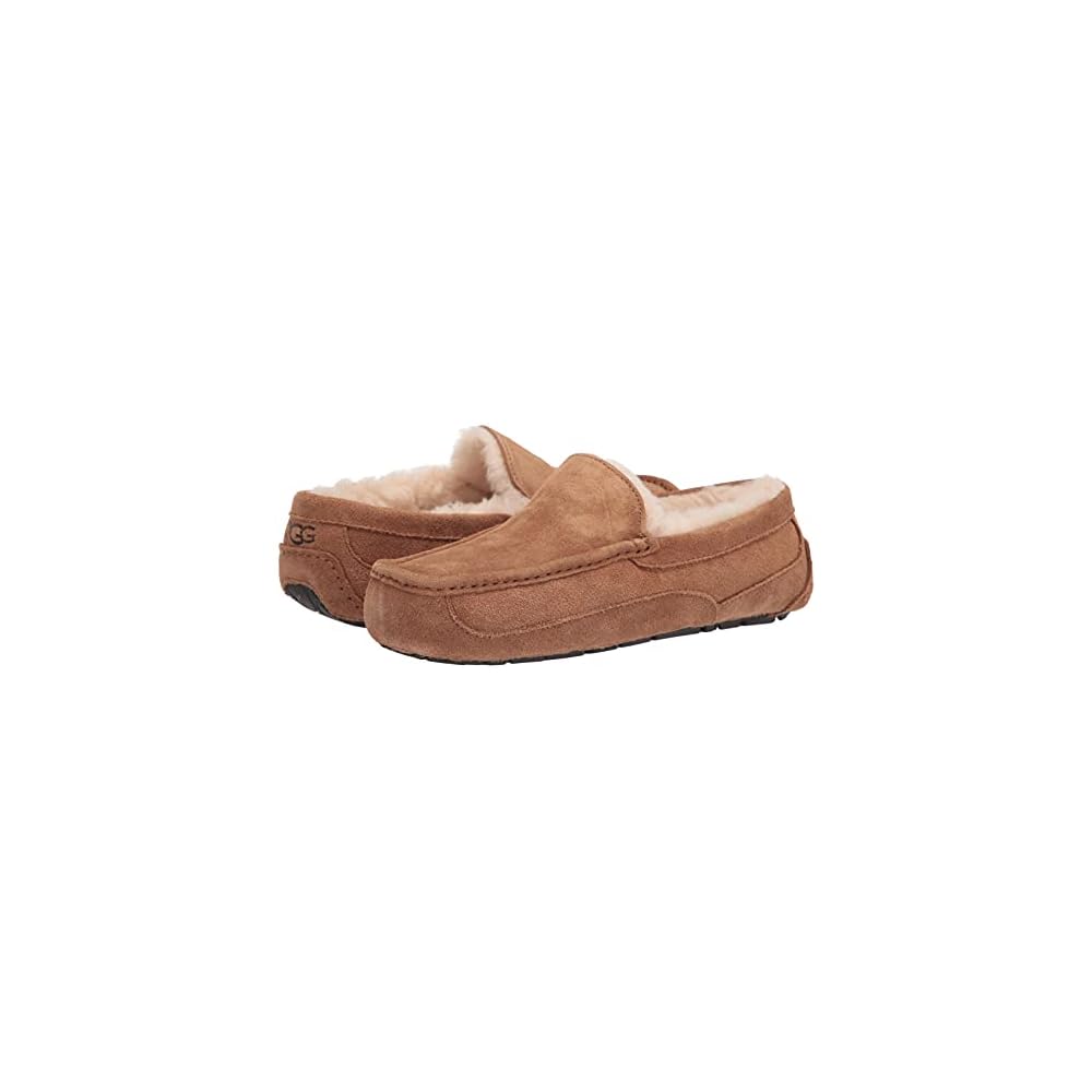 Chestnut