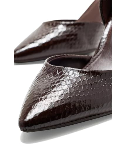 Dark Brown Snake