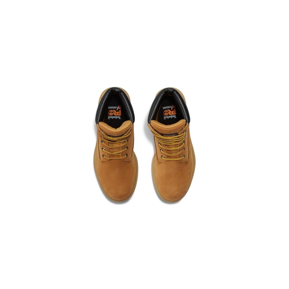 Wheat-2024 New