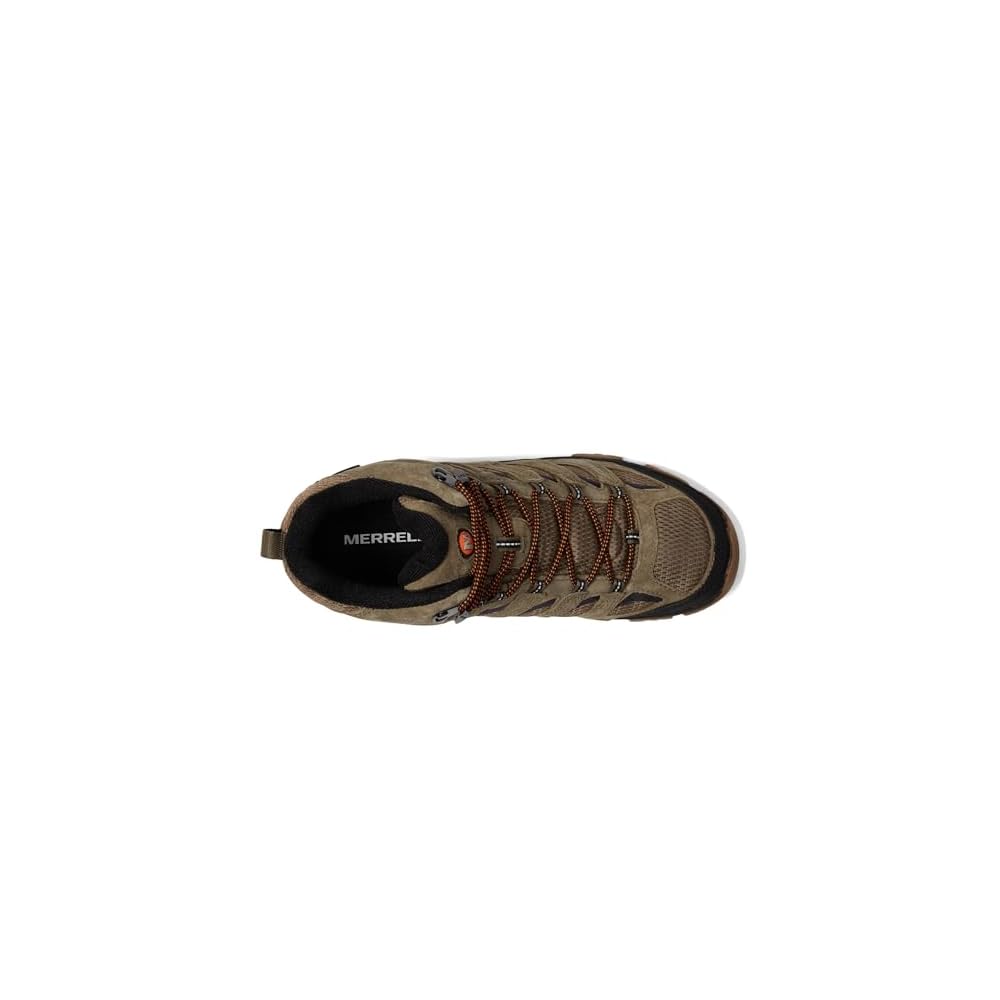 New Olive/Gum