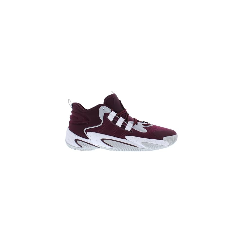 Team Maroon/Footwear White/Stone-red