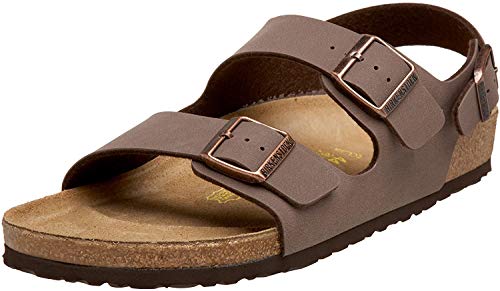 Mocha Birkibuc