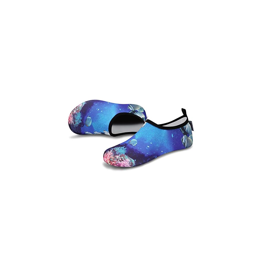 Coral Fish
