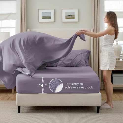 15 - Grayish Purple