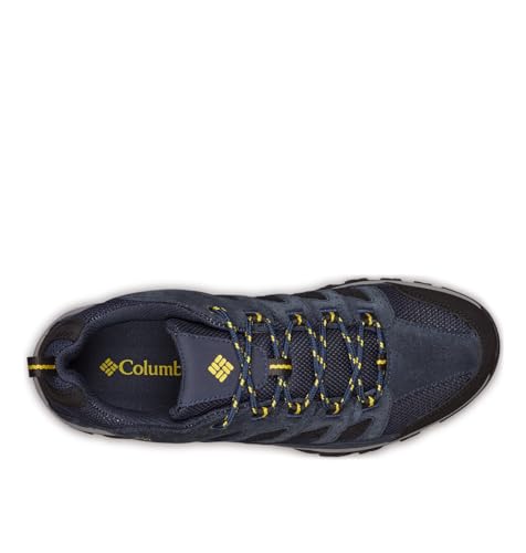 Collegiate Navy/Antique Moss