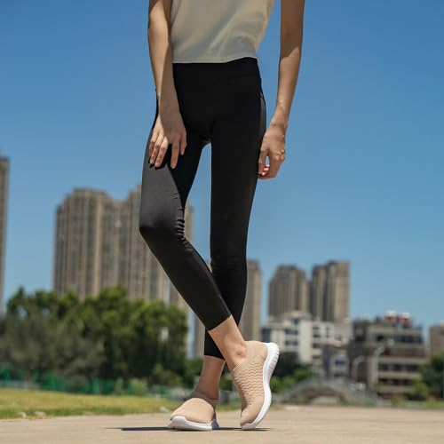 8636 Apricot