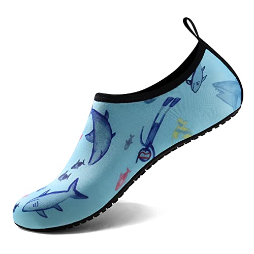 Shark Blue