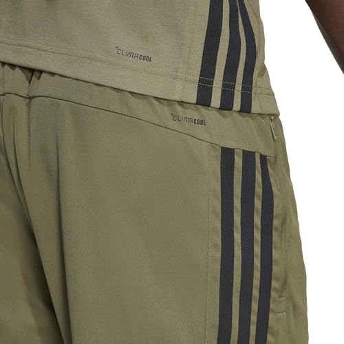 Olive Strata/Black
