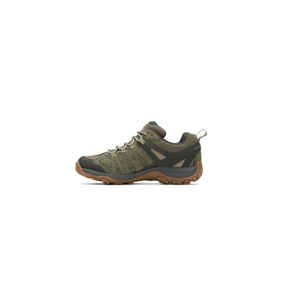 Olive/Moss