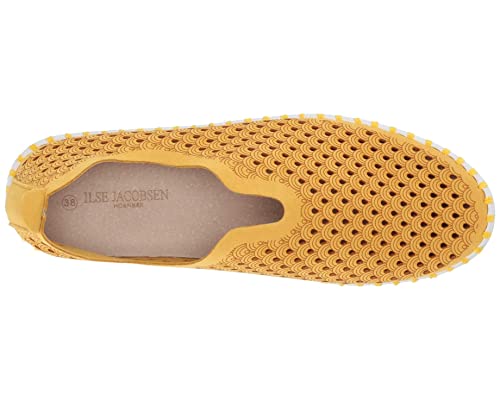 Golden Rod/White