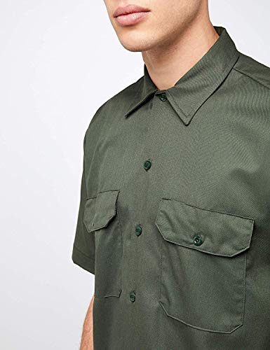 Olive Green V1